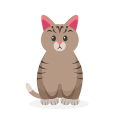 cartoon cat. pet characters illustration	
