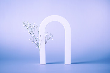 Abstract background with arch and flowers for product presentation. Modern scene for cosmetic...
