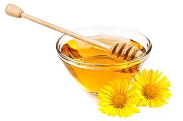 Fresh sweet honey and yellow flowers on white background