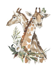 Watercolor couple of cute giraffes with flowers. African animlas clipart. Zoo illustration for kids products. World fauna and flora. Hand drawn wild nature animal with dried bouquet print on - 588773227