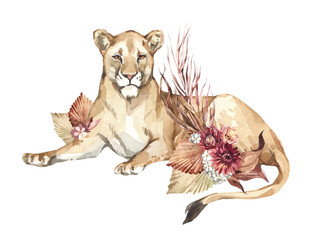 Watercolor lioness with boho flowers. African animlas clipart. World Zoo nature illustration for kids products. World fauna and flora. Hand drawn wild cat with dried bouquet print on transparent - 588773445