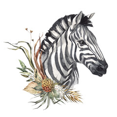Watercolor zebra portrait with flowers. African animlas clipart. World Zoo nature illustration for kids products. World fauna and flora. Hand drawn animal head with dried bouquet print on transparent - 588773690