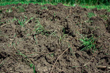 Freshly plowed land as a background for the image