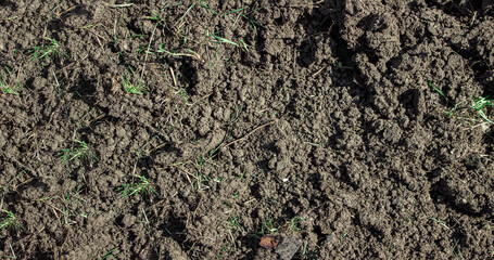 Freshly plowed land as a background for the image