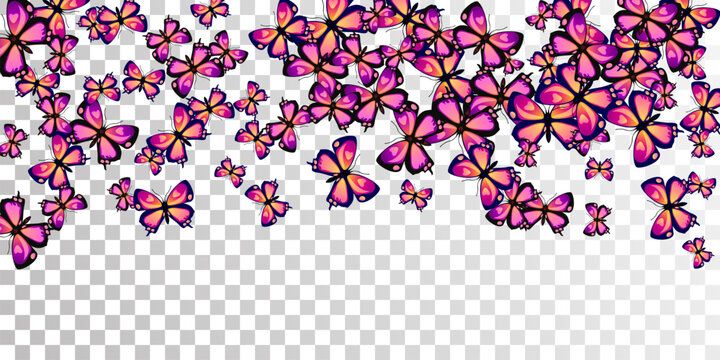 Exotic purple butterflies isolated vector wallpaper. Summer funny moths. Fancy butterflies isolated girly background. Gentle wings insects patten. Nature beings.
