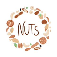 Big set of nuts and seeds in circle form. Various nuts isolated on white, pecan, macadamia, brazil nut, walnut, almonds, hazelnuts, pistachios, cashews, peanuts. Top view vector flat. Vector