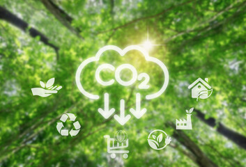 Reduce CO2 emissions to limit climate change and global warming. Low greenhouse gas levels, decarbonize, net zero carbon dioxide footprint. green background.