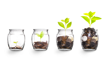 Growing Plants in money in the glass. on transparent background with clipping path, - Investment and Interest Ideas. Money growing plant with fiery light effect - money growing concept.