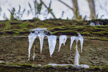 icicles hang on the cliff of a mountain with green grass.