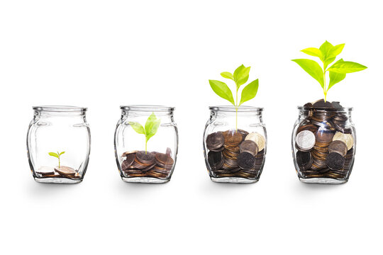 Growing Plants in money in the glass. on transparent background with clipping path, - Investment and Interest Ideas. Money growing plant with fiery light effect - money growing concept.