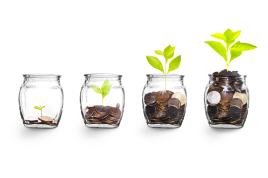 Growing Plants in money in the glass. on transparent background with clipping path, - Investment and Interest Ideas. Money growing plant with fiery light effect - money growing concept.