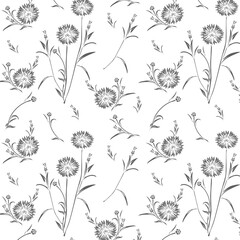 Monochrome Cornflowers seamless floral pattern in vector. Flowers Pattern in vector on transparent backgrounds. Seamless monochrome pattern in the gray with cornflower flowering floral background
