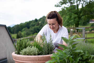 A young girl in a white T-shirt plant a tree in pot at home. Growing seedlings at home. Delicious and healthy food for salad at home.