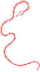 magical forest elements. images of a snake, night moth, fly agaric mushrooms, plant and space elements. Ideal for printing on fabric or clothing, wallpaper and wrapping paper