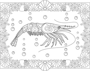 Coloring book antistress with shrimp and shells frame - vector linear picture for coloring. Outline. Coloring page with a marine arthropod.