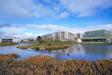 Foto op Plexiglas Suburban campus of University College, Dublin, with modern buildings and natural wetlands © Spiroview Inc.