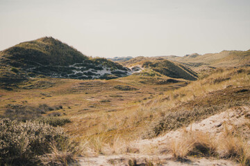 Fototapeta na wymiar Schöne Dünenlandschaft an der Nordsee
