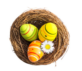 easter nest with eggs and daisy blossom from above isolated in transparent background, overlay flatlay spring decoration for easter greetings