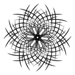 Obraz premium Abstract modern geometric floral shape circular symmetric pattern design in black color on transparent background 