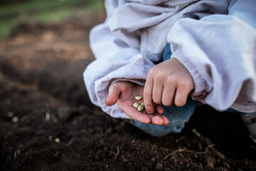 Young gardener in overalls, preparing soil and planting legumes for healthy, ecological eating