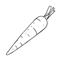The illustration of carrot vector. Suitable for vegetable icon, sign or symbol.
