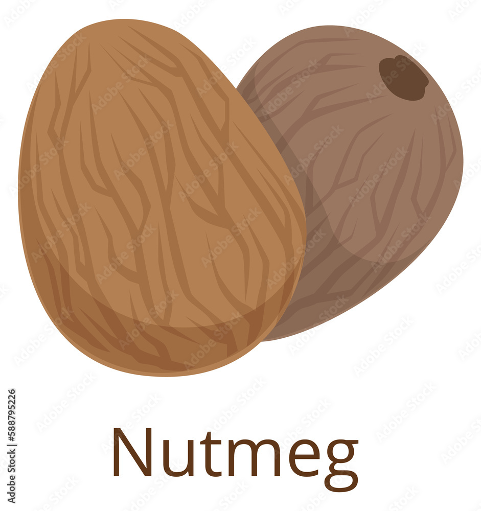 Sticker Nutmeg icon. Cartoon spice raw seed symbol