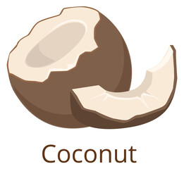 Coconut icon. Tropical raw nut half and slice