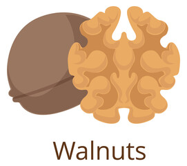 Walnut icon. Healthy organic nut cartoon symbol