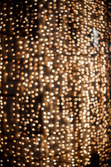 Golden christmas lights in background.