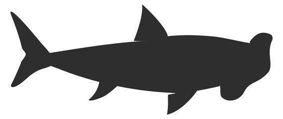 Hammerhead shark black silhouette. Wild ocean animal