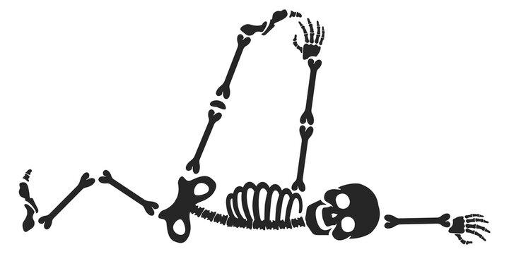 Comic fitness exercise with funny skeleton. Halloween mascot