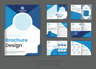 Multiple page business brochure design or company profile, 12 page brochure