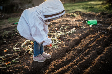 Pleasure of raising and cultivating fresh, healthy vegetables. Small girl sows seeds of spring...