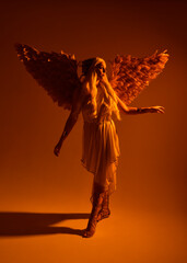 Full length portrait of beautiful blonde woman wearing a fantasy goddess toga costume with feathered angel wings.
 isolated on white studio background