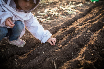 Young farmer-to-be, learning of cultivation and horticulture. plant and tend to growth of healthy, nutritious vegetables in family's field.
