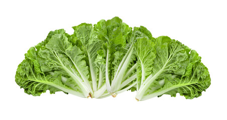 lettuce leaves on transparent png