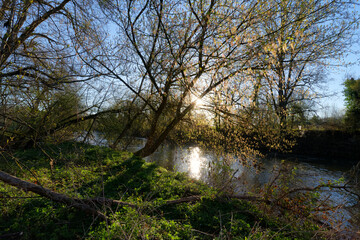 Loing river in the Natural sensitive space of the Sorques plain	