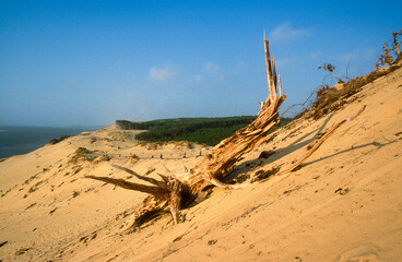 Dune du Pilat, Bassin d'Arcachon, Landes de Gascogne, 33, Gironde, France