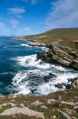 &icirc;le Carcass, Iles Falkland, Malouines