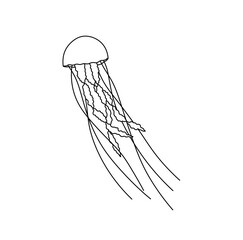 Vector isolated one single swimming floating beautiful jellyfish with long tentacles colorless black and white contour line easy drawing