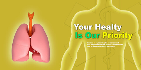Healthy Human Lungs 3d illustration
