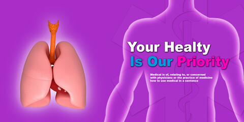 Healthy Human Lungs 3d illustration
