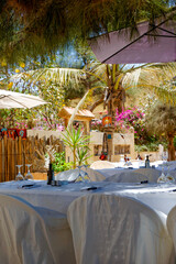 Terrasse d'un restaurant dans un jardin tropical