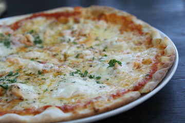 Homemade cheese pizza ready to eat on white plate