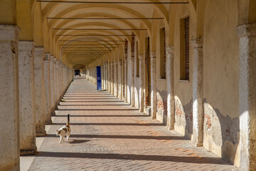 comacchio regional park delta del po lagoon city famous for its archaeological excavations and eel...