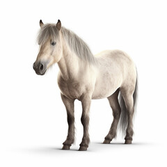 Obraz na płótnie Canvas horse,pony on a white background