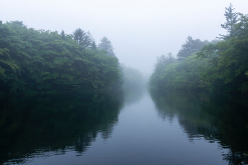 霧に包まれる軽井沢の雲場池