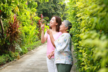 Family concept. Asian daughter takes care of elderly mother. Elderly caregiver in the health...