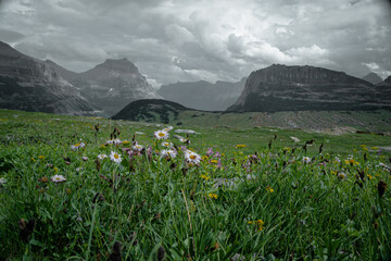 glacier no. 15