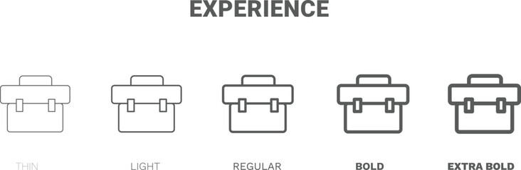 experience icon. Thin, regular, bold and more style experience icon from startup and strategy collection. Editable experience symbol can be used web and mobile